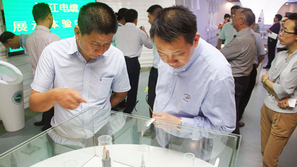 长沙市委领导考察91茄子成品短视频入口高压电力电缆生产工作