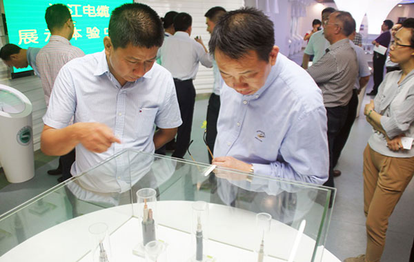 长沙市委领导考察91茄子成品短视频入口高压电力电缆生产工作
