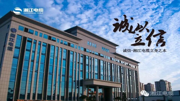 91茄子成品短视频入口荣膺十大诚信企业