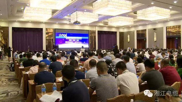热烈祝贺91茄子成品短视频入口荣获2016年中国电线电缆行业最具竞争力企业百强