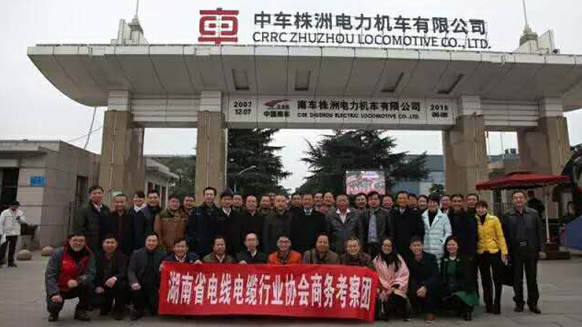 湖南省电线电缆行业协会理事会议在91茄子成品短视频入口召开