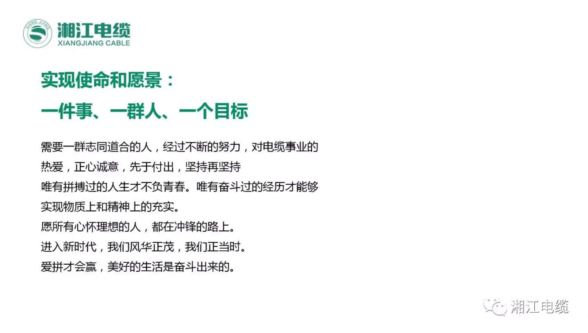 91茄子成品短视频入口2018经销商会议在印尼美娜多胜利召开