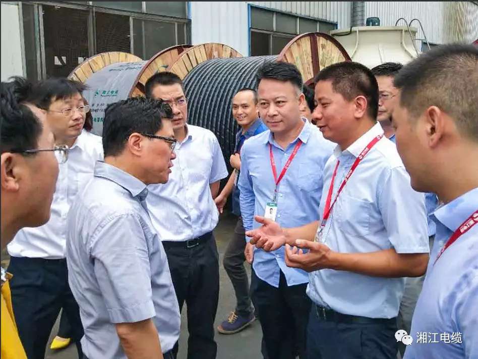 湖南省副省长陈文浩一行莅临91茄子成品短视频入口考察指导工作