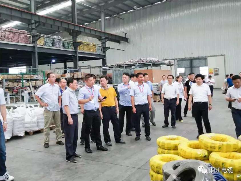湖南省副省长陈文浩一行莅临91茄子成品短视频入口考察指导工作