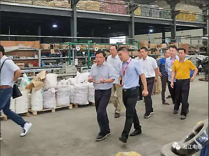 湖南省副省长陈文浩一行莅临91茄子成品短视频入口考察指导工作