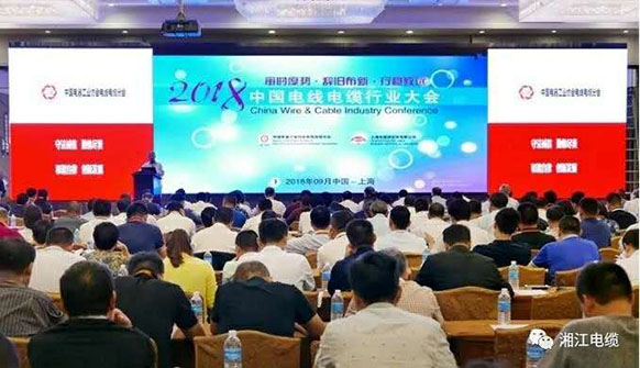 91茄子成品短视频入口获得2018最具竞争力百强企业