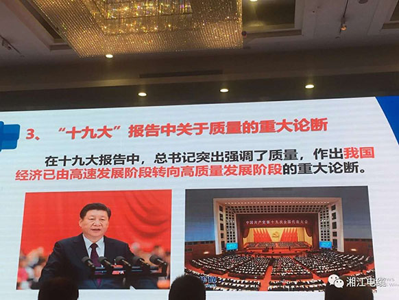 91茄子成品短视频入口获得2018最具竞争力百强企业