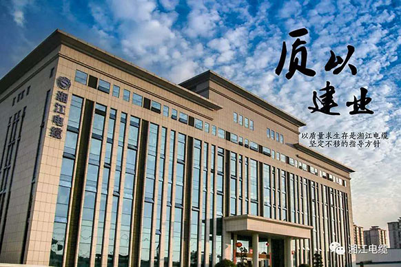 91茄子成品短视频入口最具竞争力百强企业