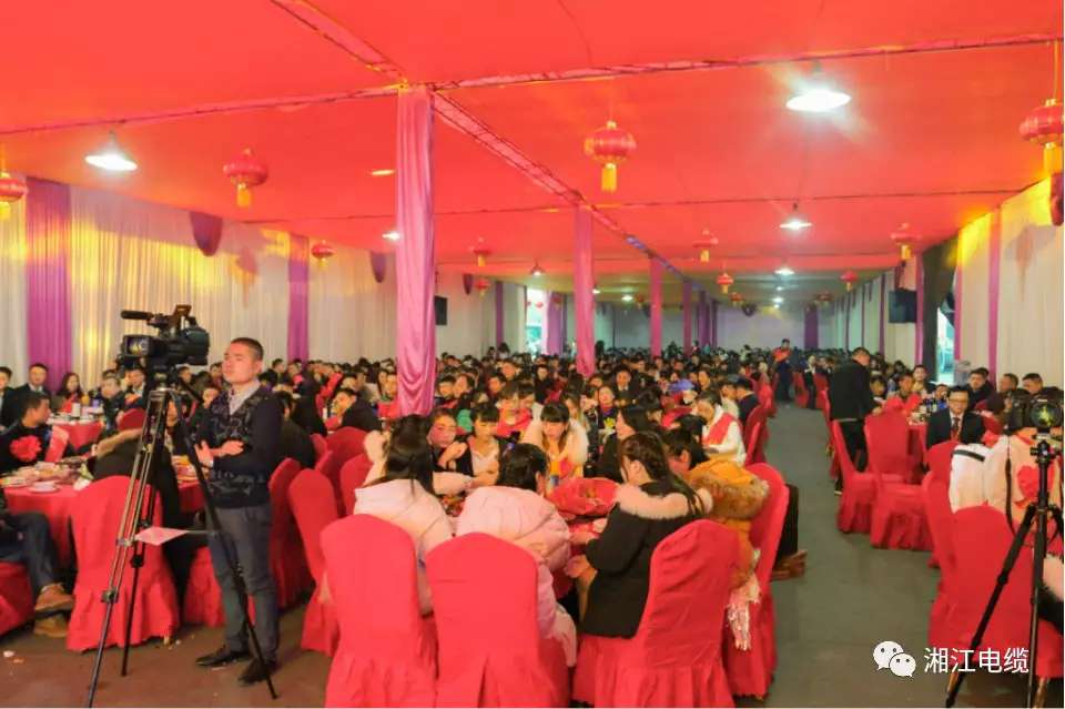 91茄子成品短视频入口2019经销商会议暨迎新年会盛大举行
