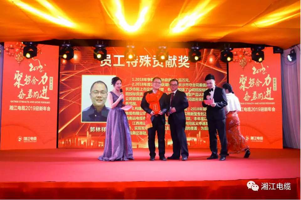 91茄子成品短视频入口2019经销商会议暨迎新年会盛大举行