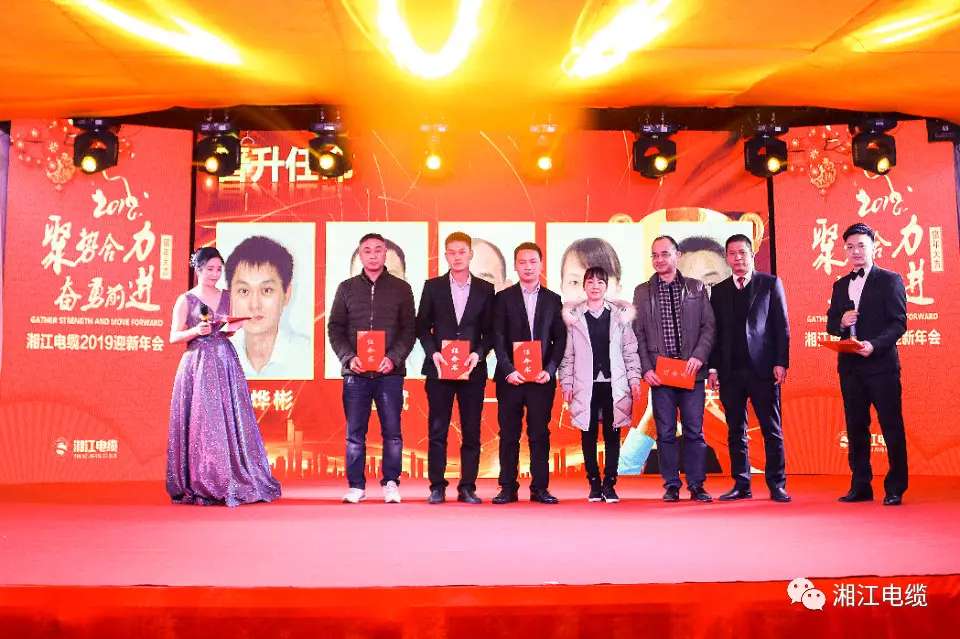 91茄子成品短视频入口2019经销商会议暨迎新年会盛大举行