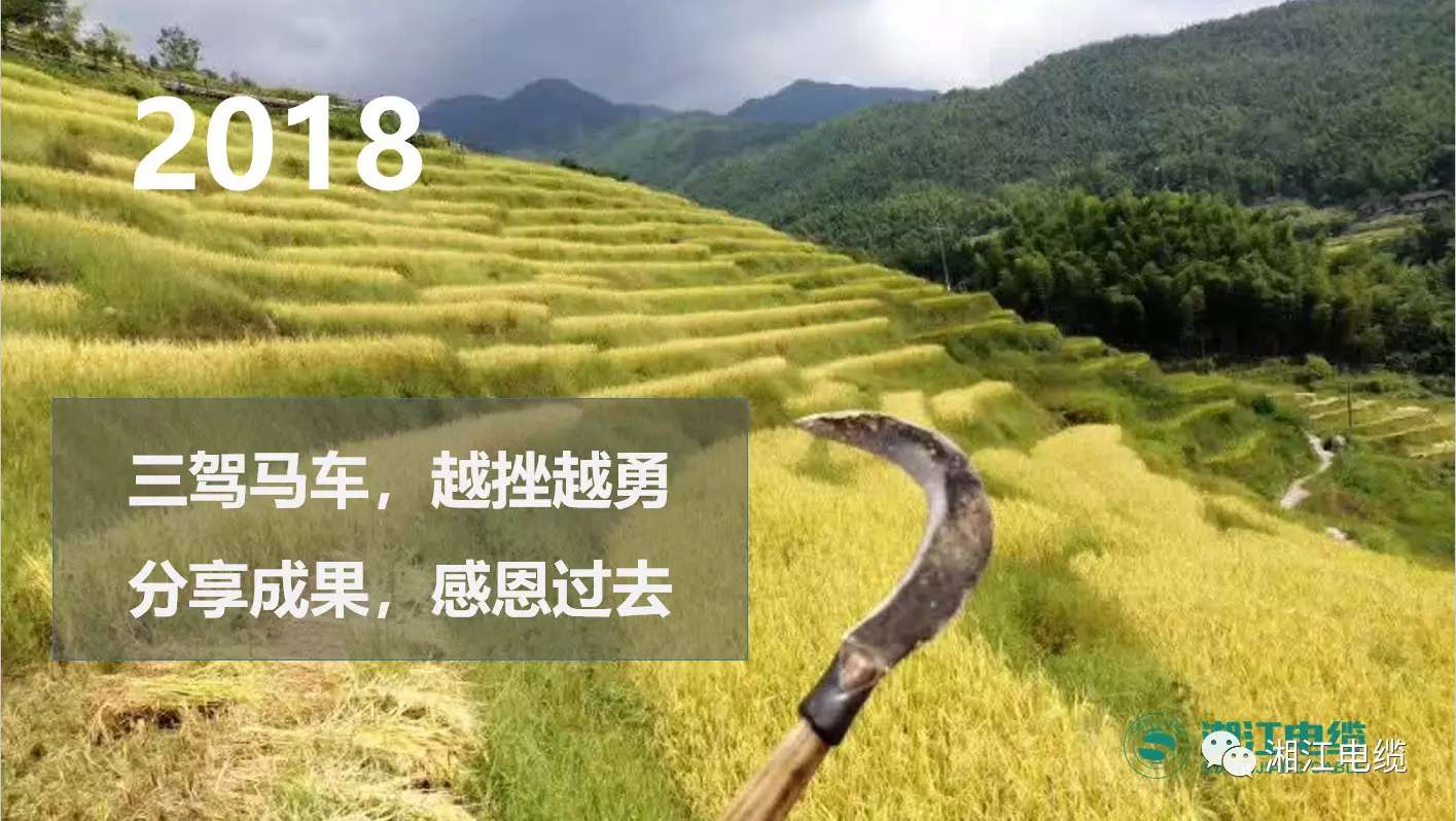 91茄子成品短视频入口2019经销商会议暨迎新年会盛大举行