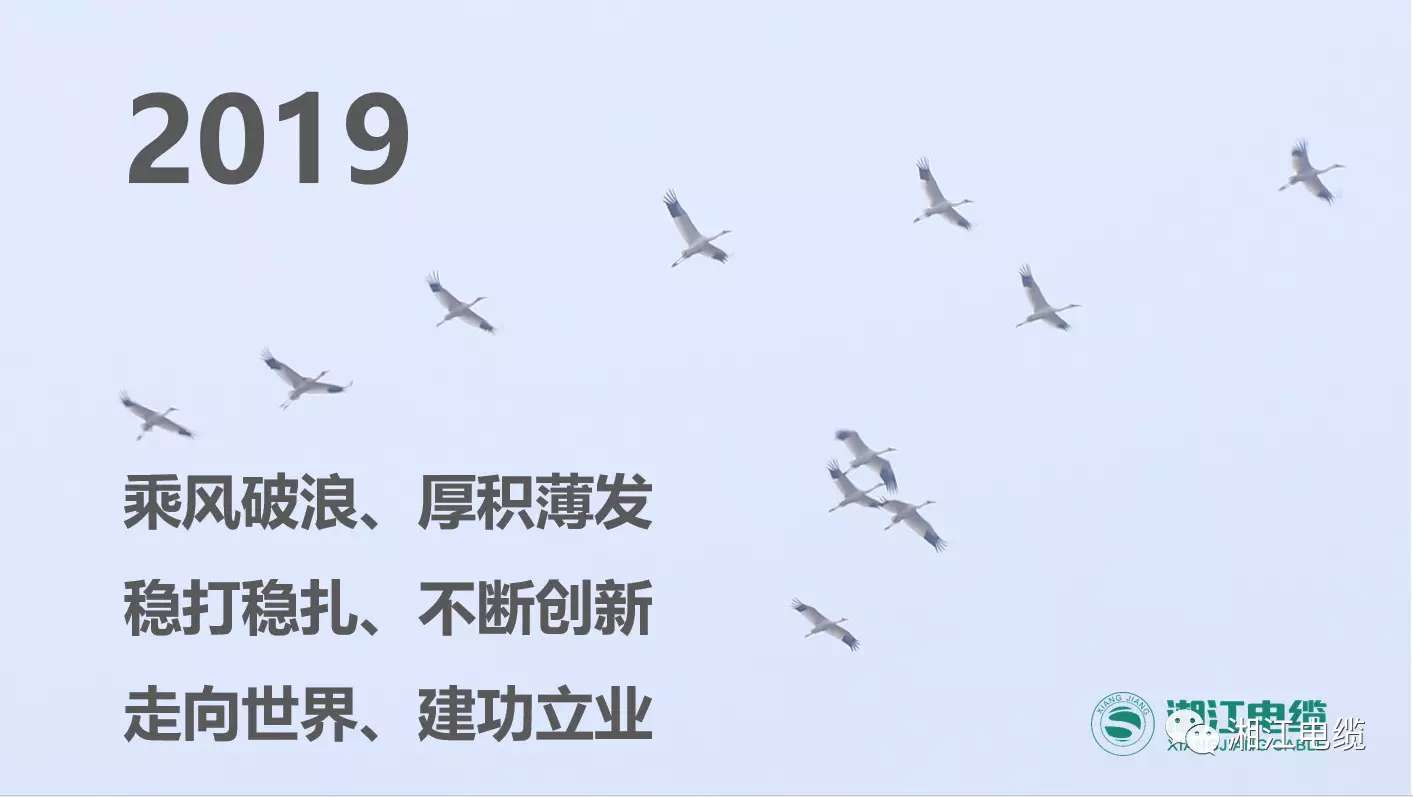 91茄子成品短视频入口2019经销商会议暨迎新年会盛大举行