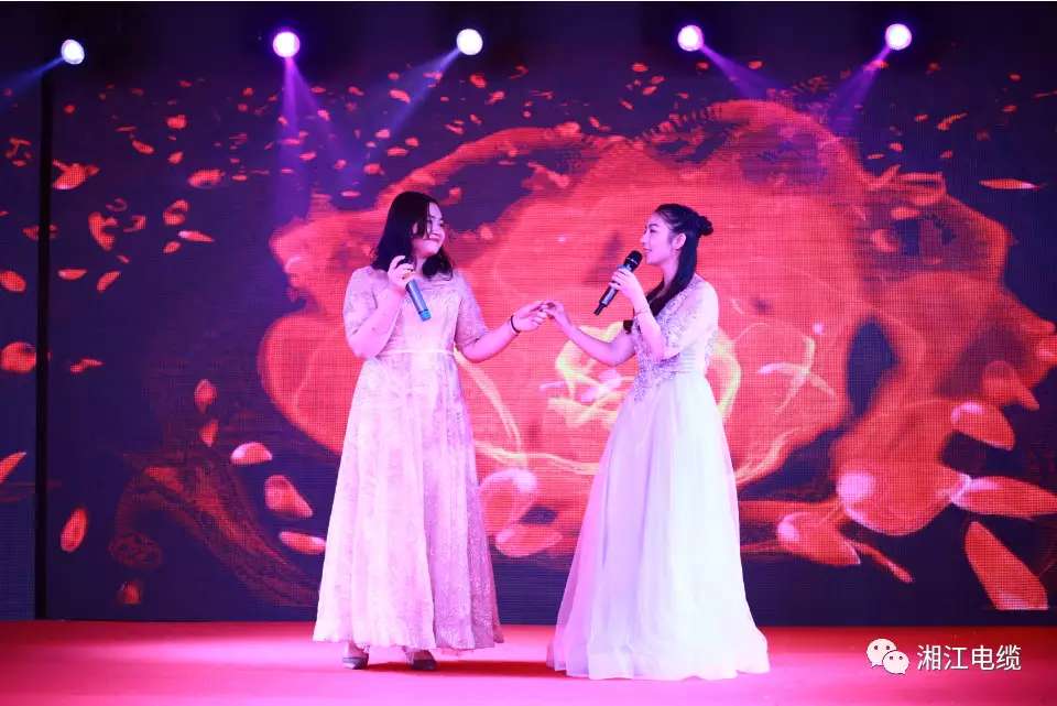 91茄子成品短视频入口2019经销商会议暨迎新年会盛大举行