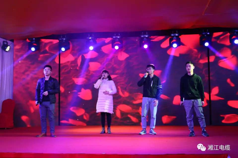 91茄子成品短视频入口2019经销商会议暨迎新年会盛大举行