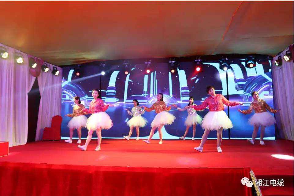 91茄子成品短视频入口2019经销商会议暨迎新年会盛大举行