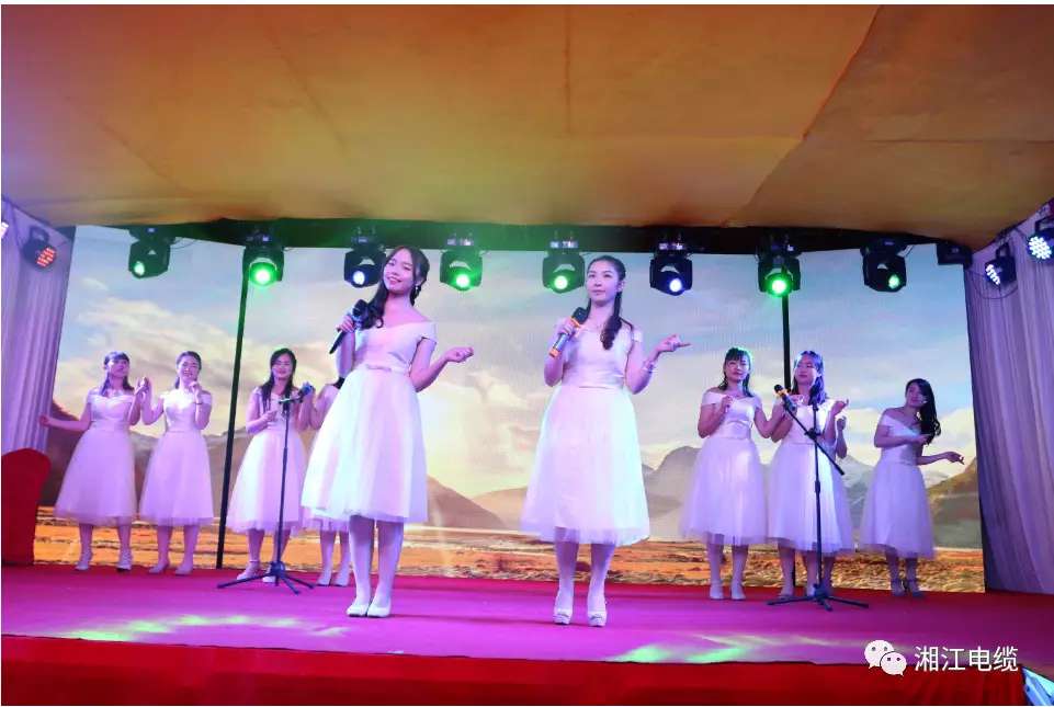 91茄子成品短视频入口2019经销商会议暨迎新年会盛大举行