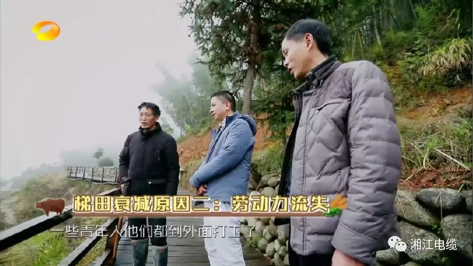 91茄子成品短视频入口湖南卫视《乡村合伙人》一企帮扶一村