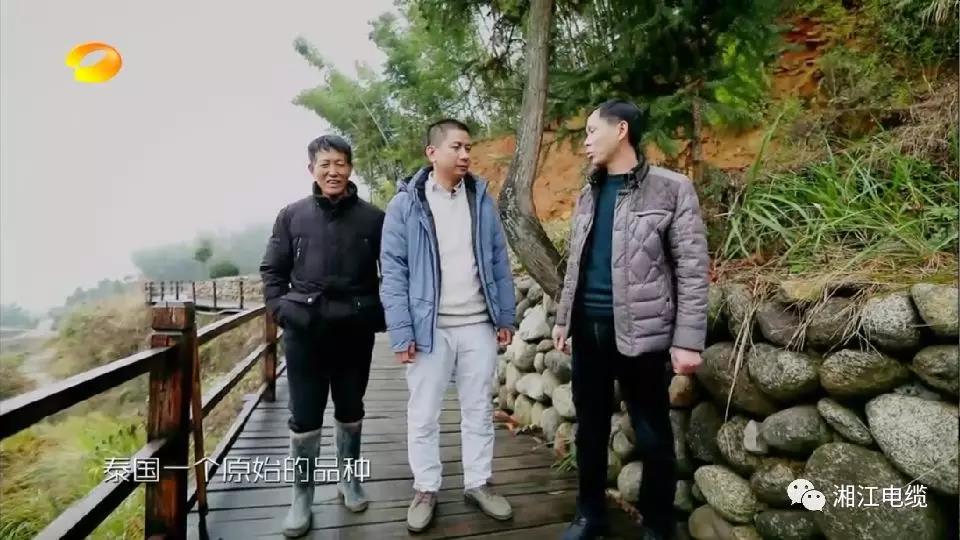 91茄子成品短视频入口湖南卫视《乡村合伙人》一企帮扶一村
