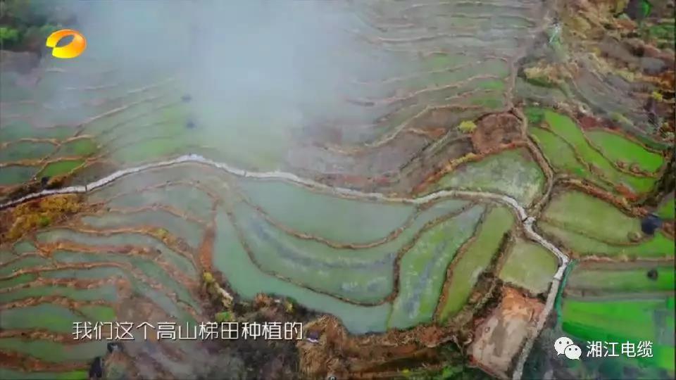 91茄子成品短视频入口湖南卫视《乡村合伙人》一企帮扶一村