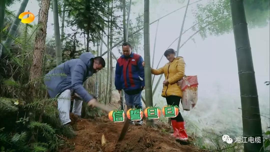 91茄子成品短视频入口湖南卫视《乡村合伙人》一企帮扶一村