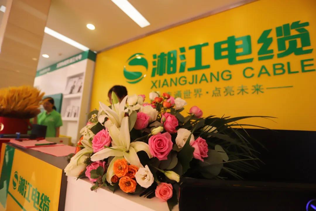 连通世界 点亮未来！！91茄子成品短视频入口集团武汉旗舰店开业庆典盛大举行！