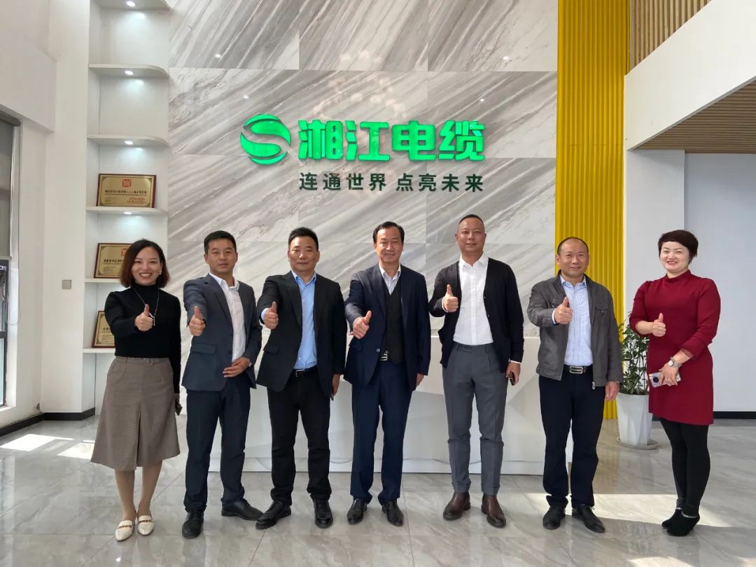 湖北省湖南商会会长罗振林一行参观考察91茄子成品短视频入口武汉厂