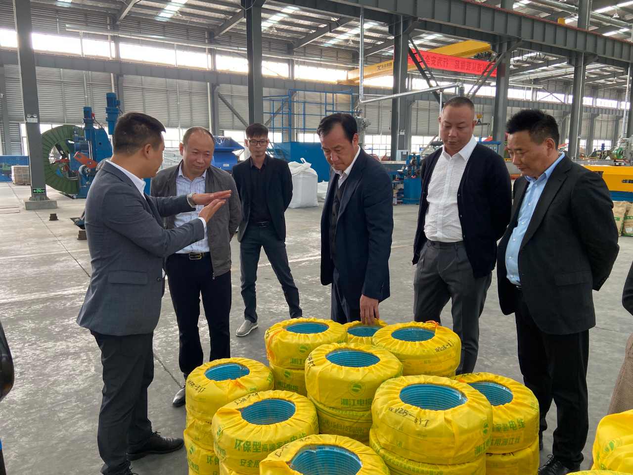 湖北省湖南商会会长罗振林一行参观考察91茄子成品短视频入口武汉厂