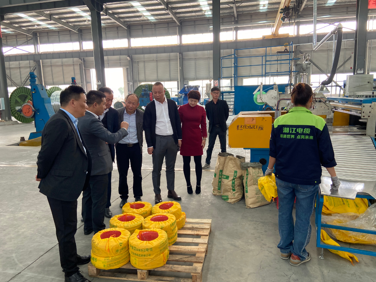 湖北省湖南商会会长罗振林一行参观考察91茄子成品短视频入口武汉厂