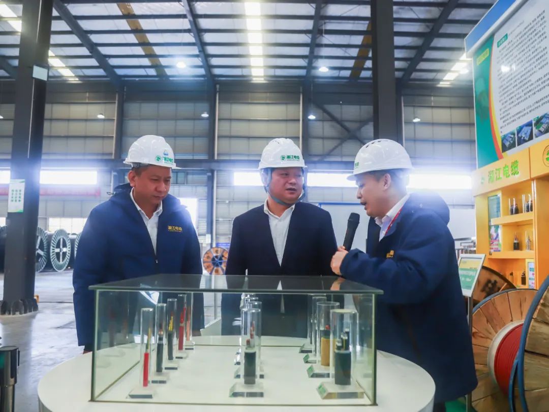 长沙经开区党工委，长沙县委书记付旭明书记一行领导，考察调研91茄子成品短视频入口