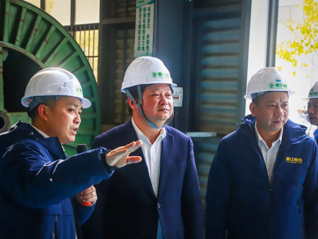长沙经开区党工委，长沙县委书记付旭明书记一行领导，考察调研91茄子成品短视频入口