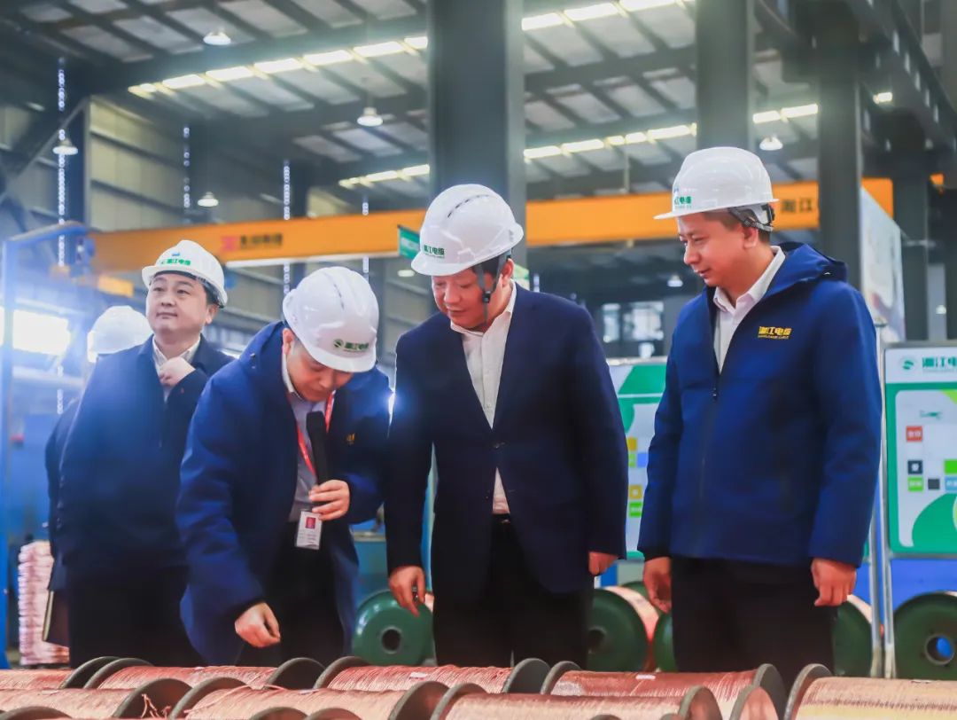 长沙经开区党工委，长沙县委书记付旭明书记一行领导，考察调研91茄子成品短视频入口