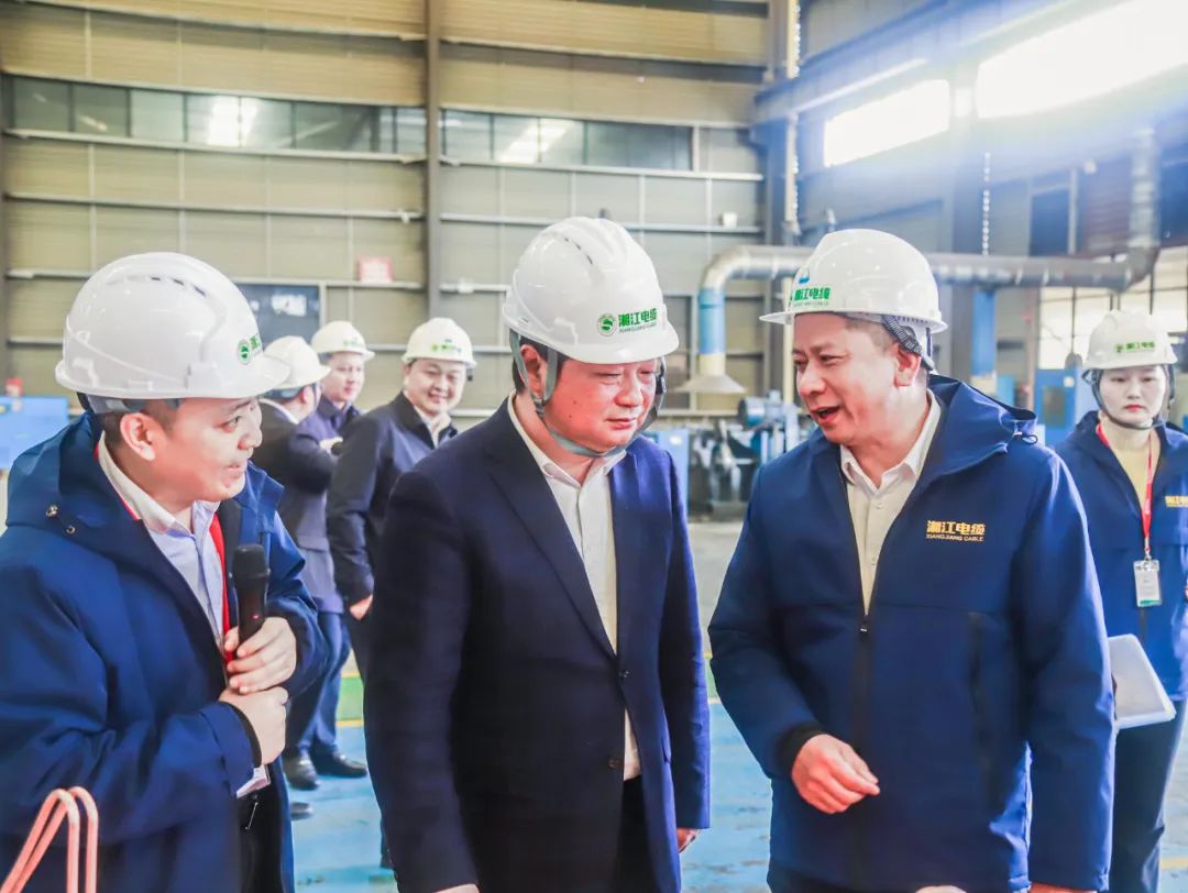长沙经开区党工委，长沙县委书记付旭明书记一行领导，考察调研91茄子成品短视频入口