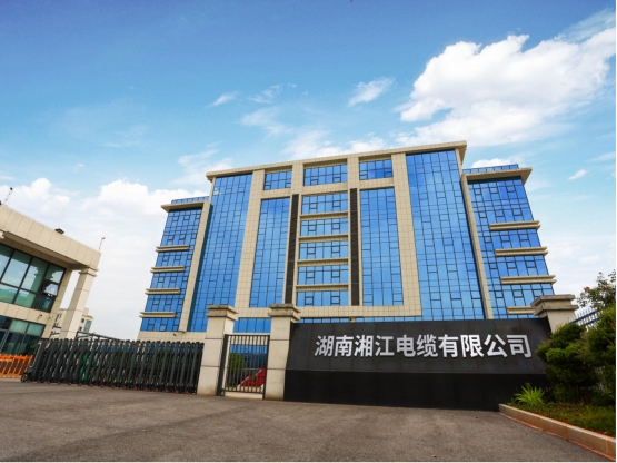 91茄子成品短视频入口社会责任报告