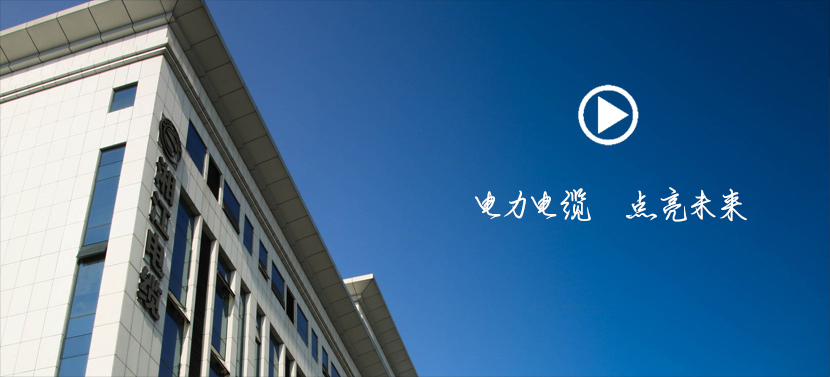 91茄子成品短视频入口